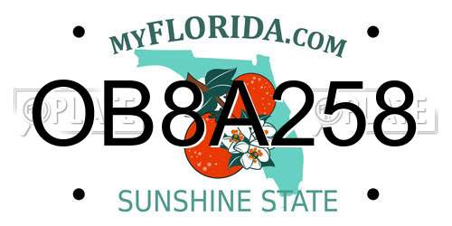 OB8A258 Florida License Plate