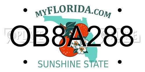 OB8A288 Florida License Plate