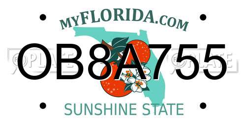 OB8A755 Florida License Plate