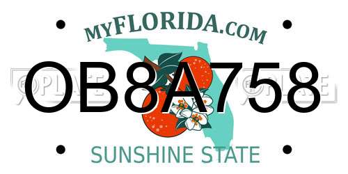 OB8A758 Florida License Plate