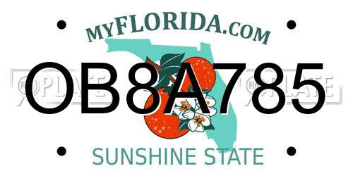 OB8A785 Florida License Plate