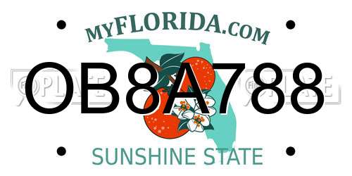 OB8A788 Florida License Plate
