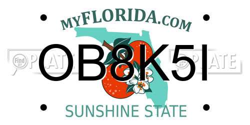 OB8K5I Florida License Plate