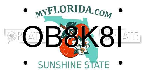 OB8K8I Florida License Plate