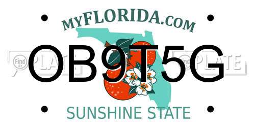 OB9T5G Florida License Plate
