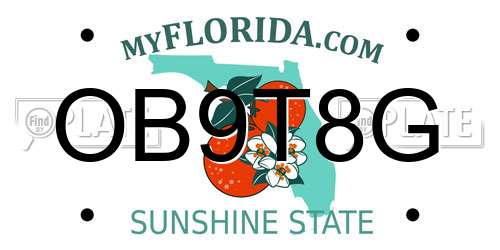 OB9T8G Florida License Plate