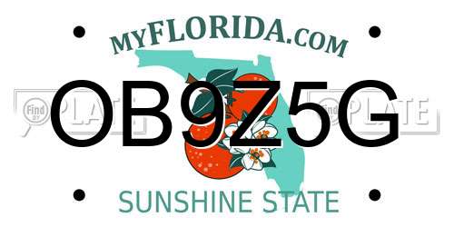 OB9Z5G Florida License Plate