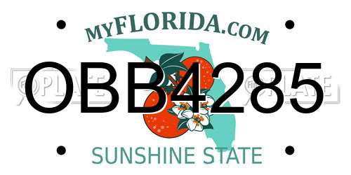 OBB4285 Florida License Plate