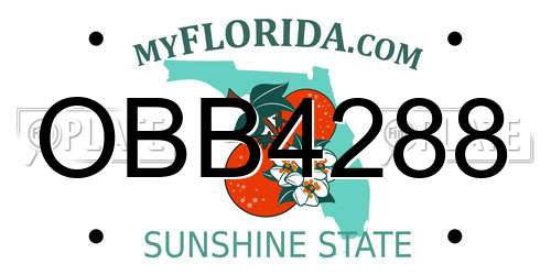 OBB4288 Florida License Plate