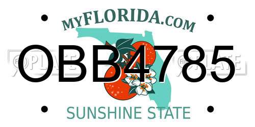OBB4785 Florida License Plate