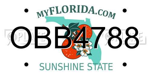 OBB4788 Florida License Plate