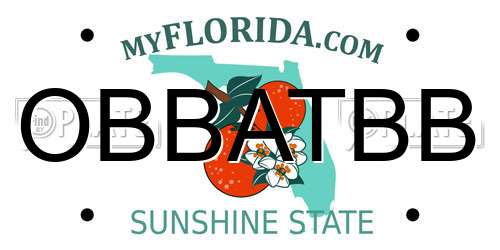 OBBATBB Florida License Plate