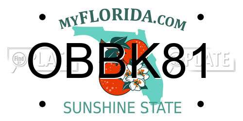 OBBK81 Florida License Plate
