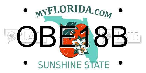 OBE18B Florida License Plate