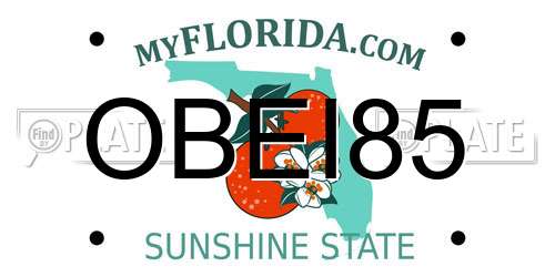 OBEI85 Florida License Plate