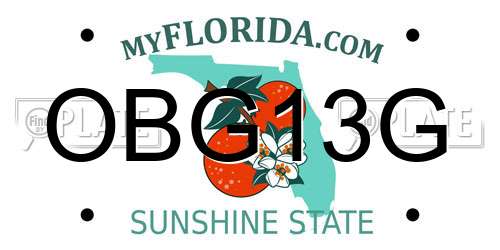 OBG13G Florida License Plate