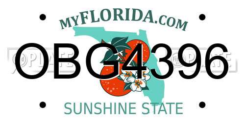 OBG4396 Florida License Plate