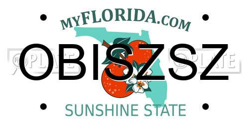 OBISZSZ Florida License Plate