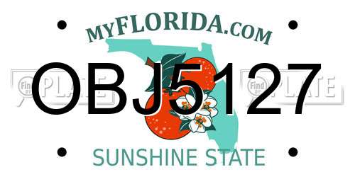 OBJ5127 Florida License Plate