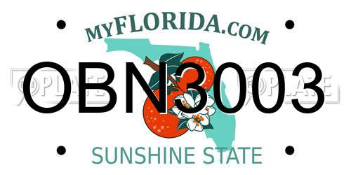 OBN3003 Florida License Plate