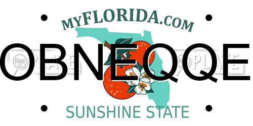 OBNEQQE Florida License Plate