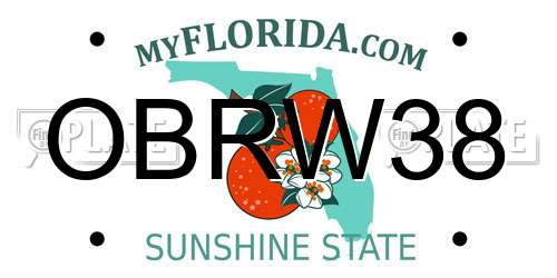 OBRW38 Florida License Plate