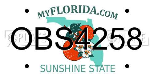 OBS4258 Florida License Plate