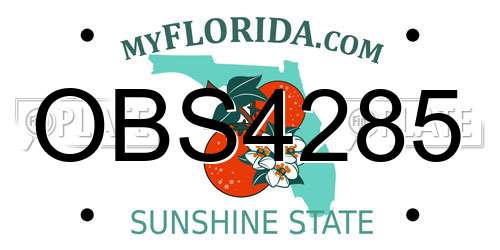 OBS4285 Florida License Plate