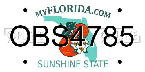 OBS4785 Florida License Plate