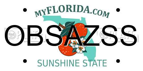 OBSAZSS Florida License Plate