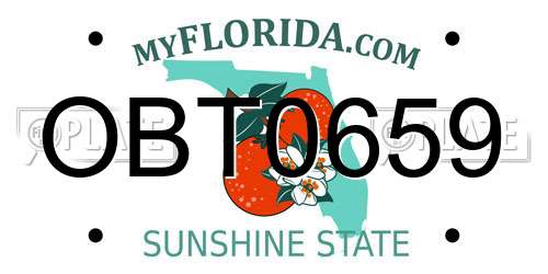 OBT0659 Florida License Plate