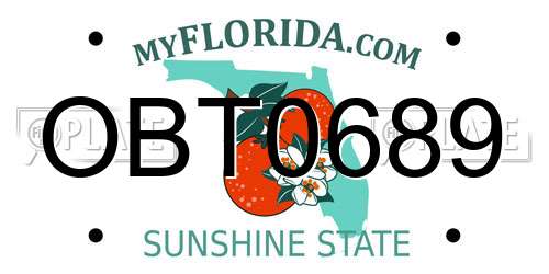 OBT0689 Florida License Plate