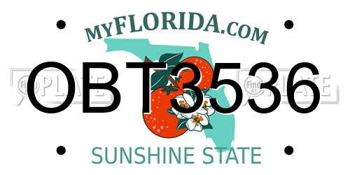 OBT3536 Florida License Plate