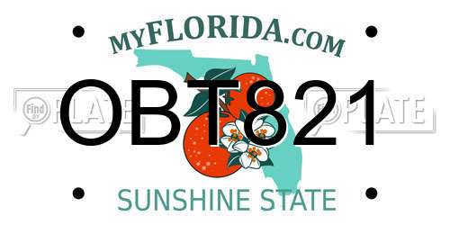 OBT821 Florida License Plate