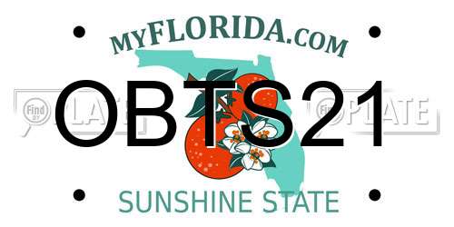 OBTS21 Florida License Plate