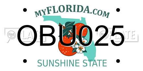 OBU025 Florida License Plate