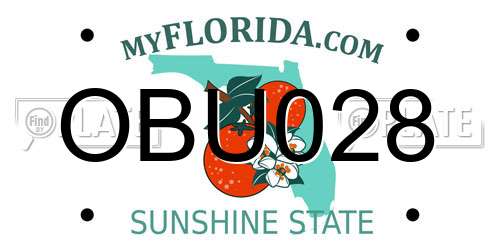 OBU028 Florida License Plate