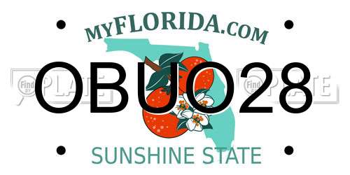 OBUO28 Florida License Plate