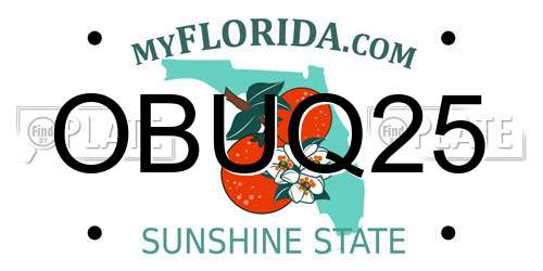 OBUQ25 Florida License Plate