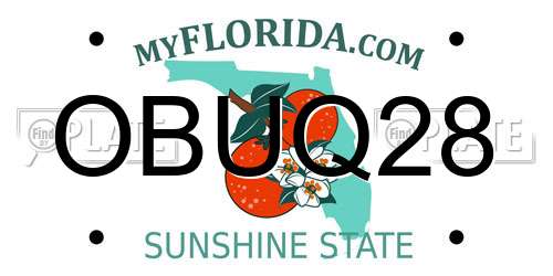 OBUQ28 Florida License Plate