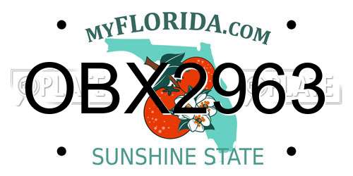 OBX2963 Florida License Plate
