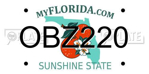 OBZ220 Florida License Plate