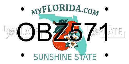 OBZ571 Florida License Plate