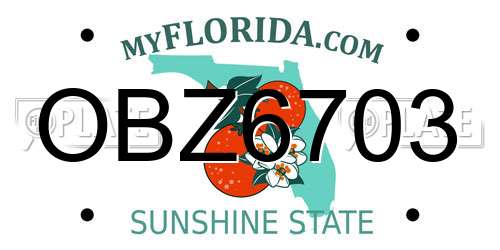 OBZ6703 Florida License Plate