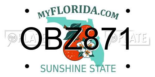 OBZ871 Florida License Plate