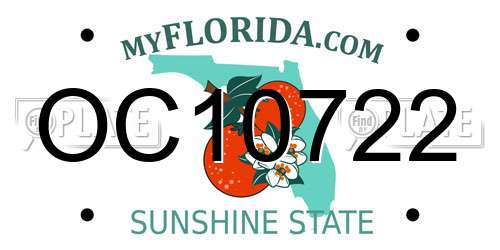 OC10722 Florida License Plate