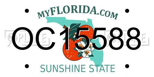OC15588 Florida License Plate