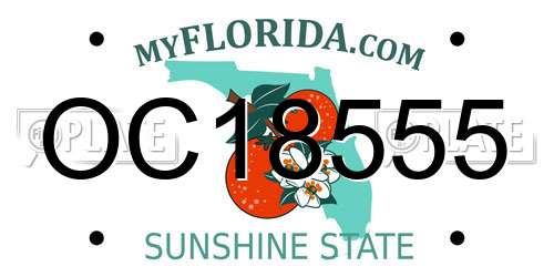 OC18555 Florida License Plate