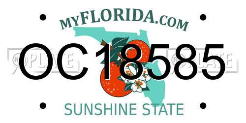 OC18585 Florida License Plate