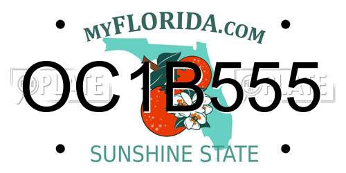 OC1B555 Florida License Plate
